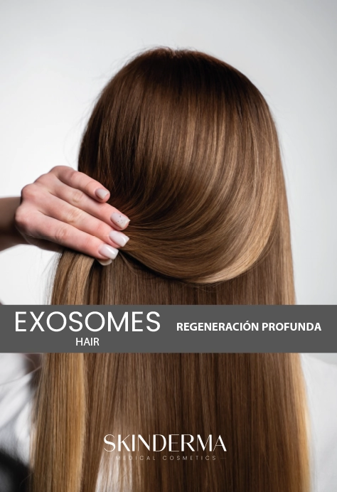 Descargar